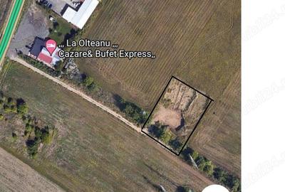 Teren zona Centura, cu acces ideal investitii parc fotovoltaice Teren zona Centura, cu acces ideal investitii parc fotovoltaice - 2