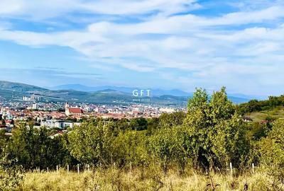 Teren de 16000 mp, în Central - 2