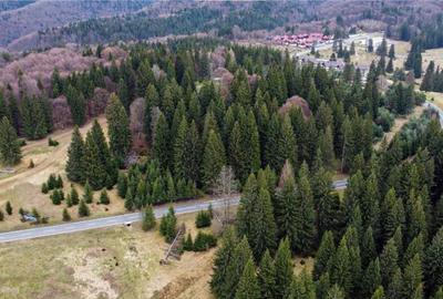 Teren cu potential:1.000 mp,proiect turistic rezidential,Poi - 12