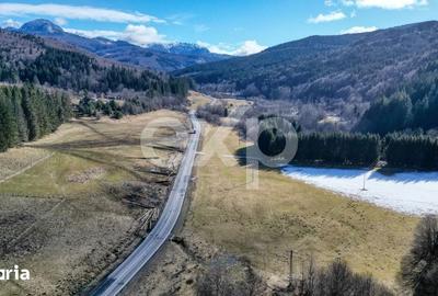 Teren de 19200 mp, în Brădet - 10