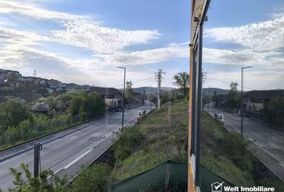 Casa duplex, o unitate locativa, 4 camere, 200 m.p., Dambu Rotund/Calea Baciului - 7