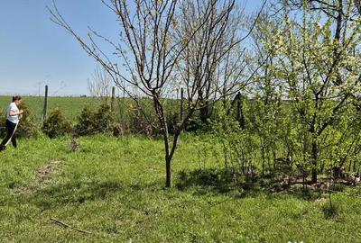 Teren de 1000 mp, în Oituz - 8