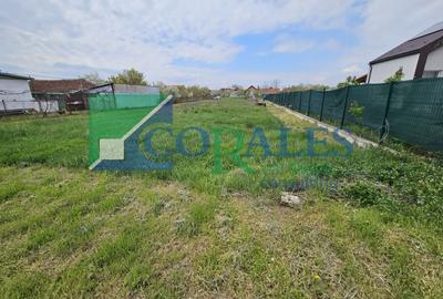 Teren Construcții intravilan de 1439 mp, în Moșnița Nouă - 4