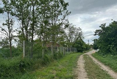 Teren de 11300 mp, în Balta Doamnei - 4
