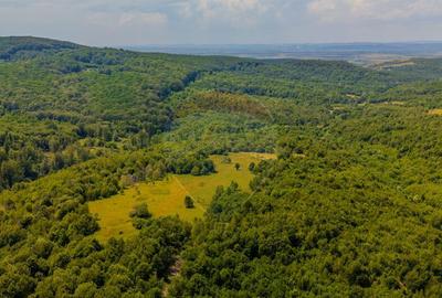 COMISION 0% Teren Grid/Inima Naturii/ Oportunitate de inv... - 11