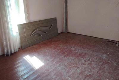 Casă cu 4 camere cu Teren 1300 Mp în Teremia Mare - 6