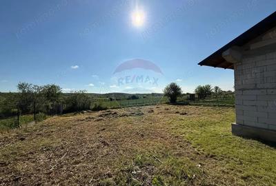 Casa Pielesti Teren 1624 mp - 4