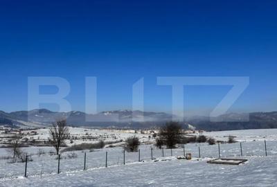 Teren de 1000 mp, în Tohănița