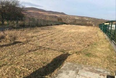 Teren de 3000 mp, în Săsenii Vechi - 4