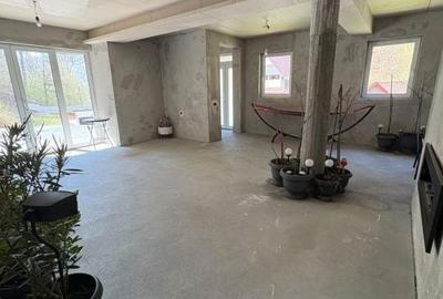 Casă cu 5 camere decomandat cu Teren 4700 Mp în Valea Roșie - 5