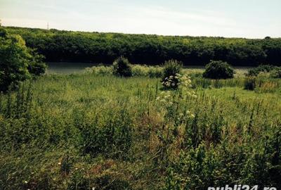 Teren de 1500 mp, în Lehliu - 7