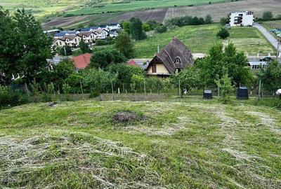 Teren de 600 mp, în Bărdești - 5