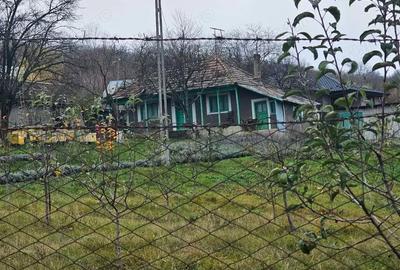 Casă cu 2 camere cu Teren 5000 Mp în Roșu - 1