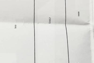 Teren de 1000 mp, în Răchiți - 2