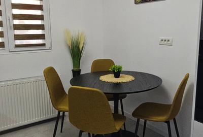 Apartament cu 2 camere semidecomandat, mobilat în Ștefan cel Mare - 10