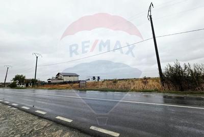 Teren extravilan de vanzare in Frumusani, acces direct DN4 - 3