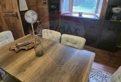 Casă cu 3 camere cu Teren 1268 Mp în Săpânța