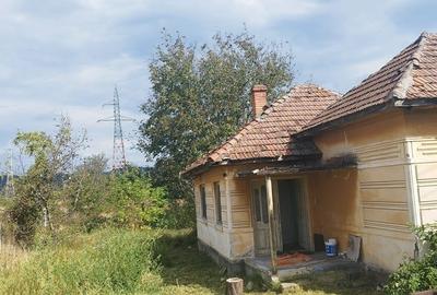 Casă cu 2 camere cu Teren 2000 Mp în Sântămăria-Orlea - 6