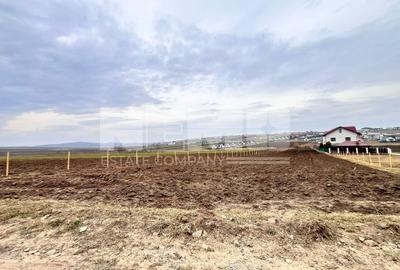 Teren agricol intravilan de 4800 mp, în Moara Nica - 2
