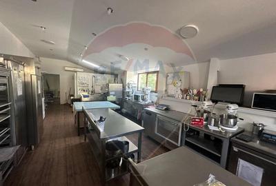 Casa / Vila de inchiriat 6 camere in zona Foisorul de F... Casa / Vila de inchiriat 6 camere in zona Foisorul de F... - 11