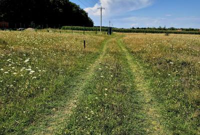 Comision 0 %, teren intravilan Sambata de Sus, ideal cabana weekend - 2