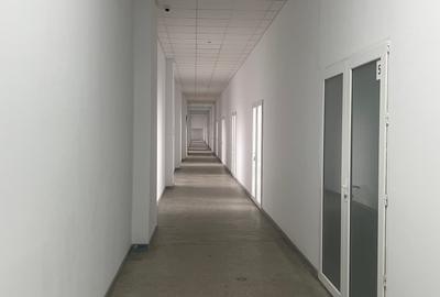 Hala Depozitare / Productie - Theodor Pallady - 3