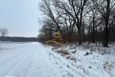 Teren de 2700 mp, în Berești - 4