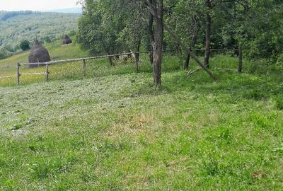 Casă cu Teren 3850 Mp în Roșia - 1