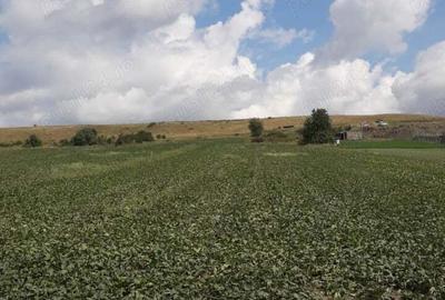 Teren de 21000 mp, în Central - 3
