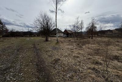 Casă cu 2 camere în Petrova - 4