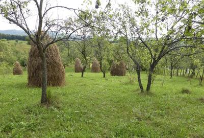 Teren de 490 mp, în Brebu - 3