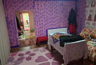Casă cu Teren 3000 Mp în Căscioarele - 5