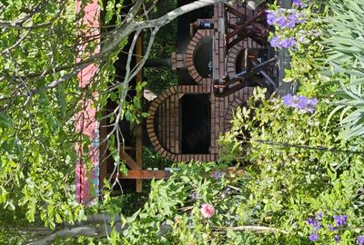 Casă cu 6 camere cu Teren 1000 Mp în Eșelnița - 8