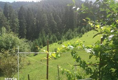 Teren de 2000 mp, în Ștefan cel Mare - 7