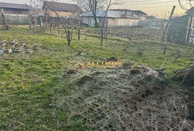 Casă cu Teren 758 Mp în Negoiești - 10