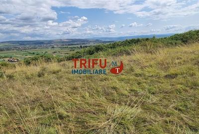 Teren extravilan de 2500 mp de vanzare  in Paclisa priveliste deosebita - 5