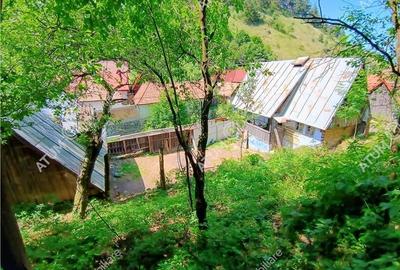 Casa traditionala din lemn cu 930 mp teren in Rasinari langa Sibiu - 14