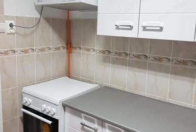 Apartament cu 2 camere semidecomandat în Gojdu - 8