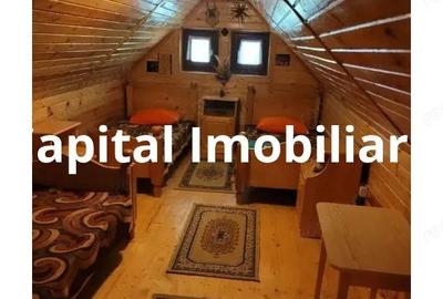 Proprietate Unica in Inima Naturii Galaoaia, Mure? - 12