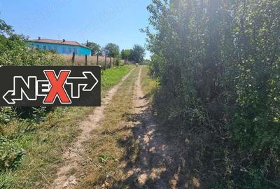 Parcele de teren Comuna Girov - 1