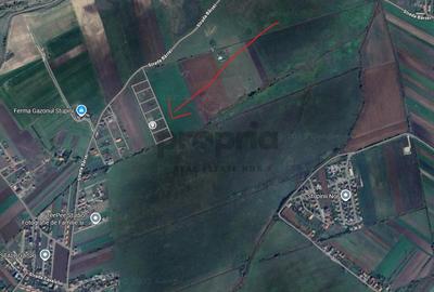 Teren intravilan de vanzare - Brasov, Stupini, Str. Barsei nr. 90 - 5