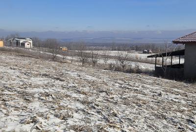 Spațiu comercial, în Tomești - 5