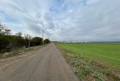 Darvari Ciorogarla Str Tineretului 2 loturi 500 mp zona in dezvoltare - 9