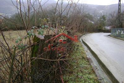 Teren de 2656 mp, în Drăgăneasa - 6