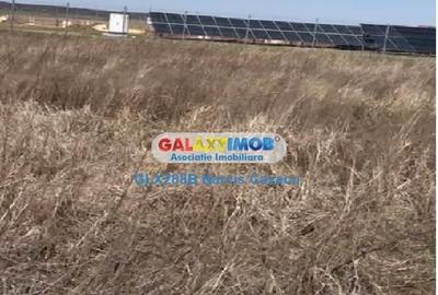 Teren Construcții extravilan de 34366 mp, în Tărtășești - 7