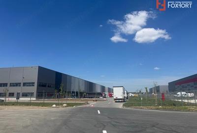 Teren agricol extravilan de 10153 mp, în Ghiroda - 1