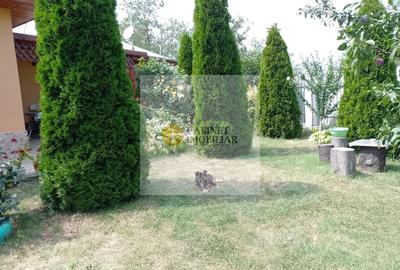 Casă individuală cu 3 camere cu Canalizare în Hănțești - 24