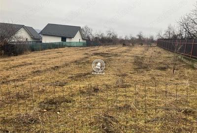 Teren de 902 mp, în Tomești - 1