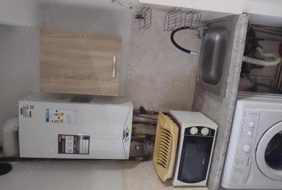 Ion Ionescu de la Brad - 3