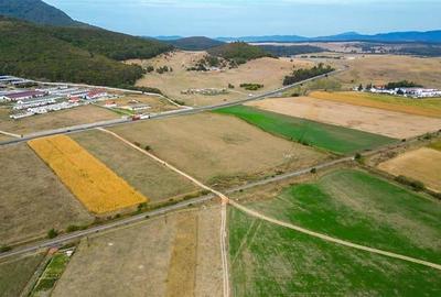 FILM! 60.000 mp, teren intravilan, acces la DN1, Codlea, Brasov - 6